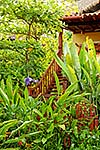 Casa Iguana - Stairs to upper suite