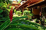 Casa Iguana - Garden
